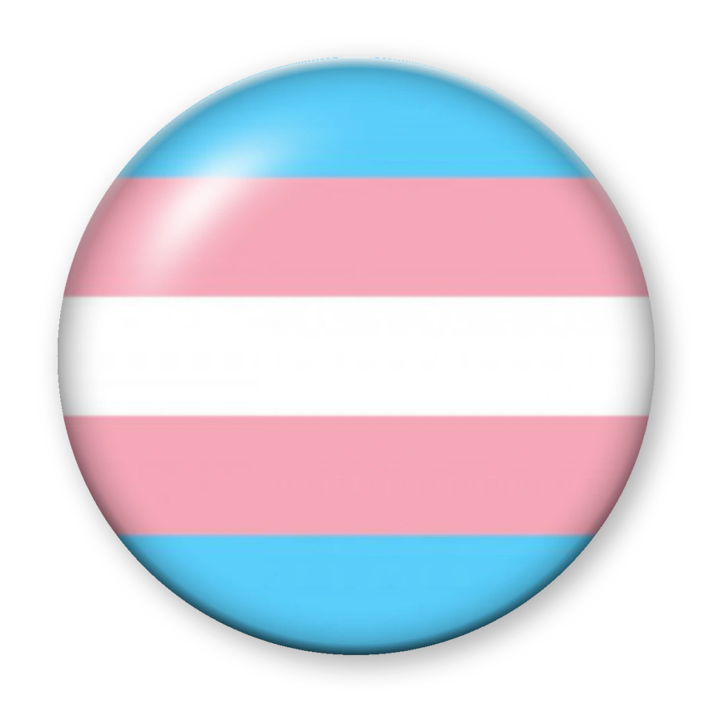 Broche Bandeira Trans