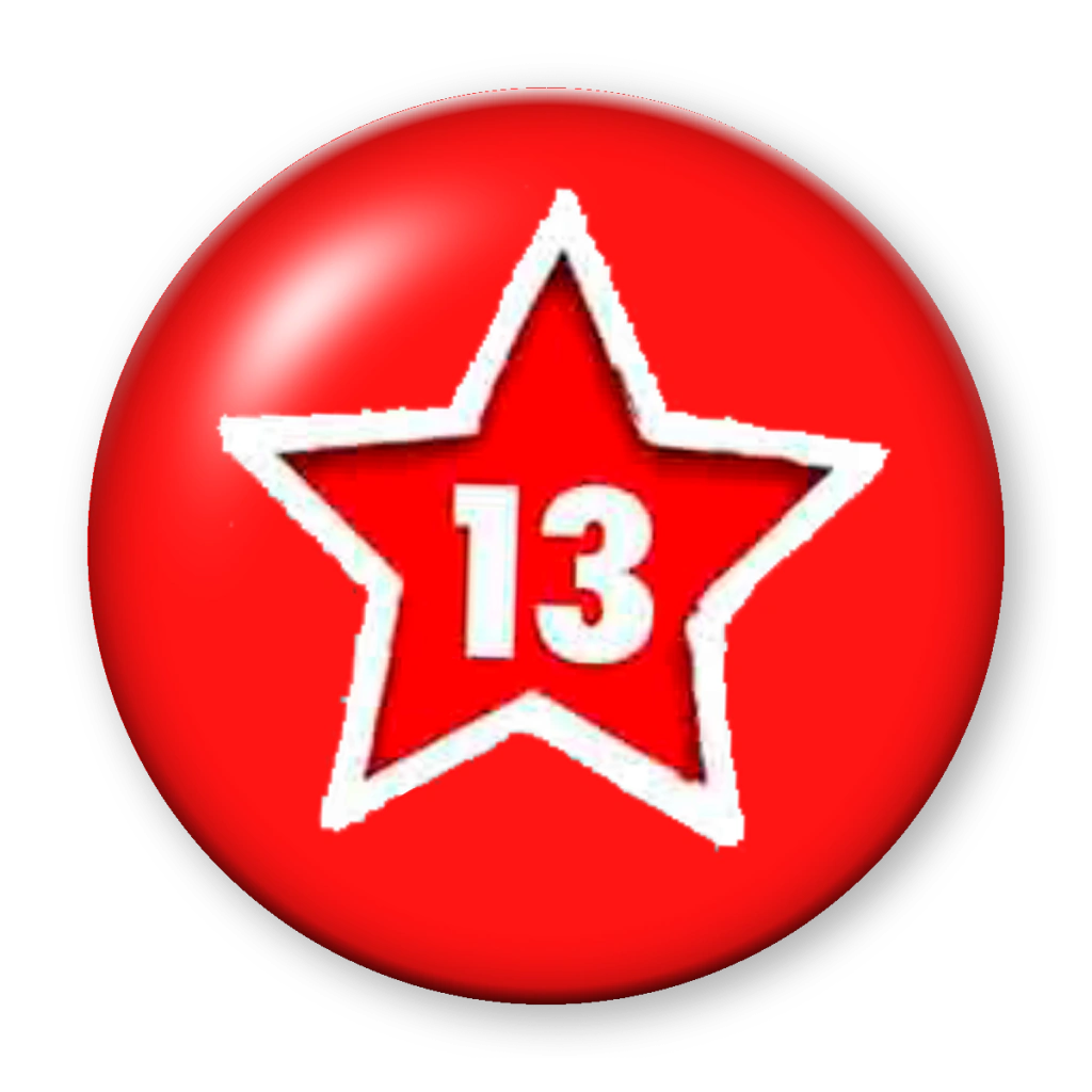 Broche Estrela 13