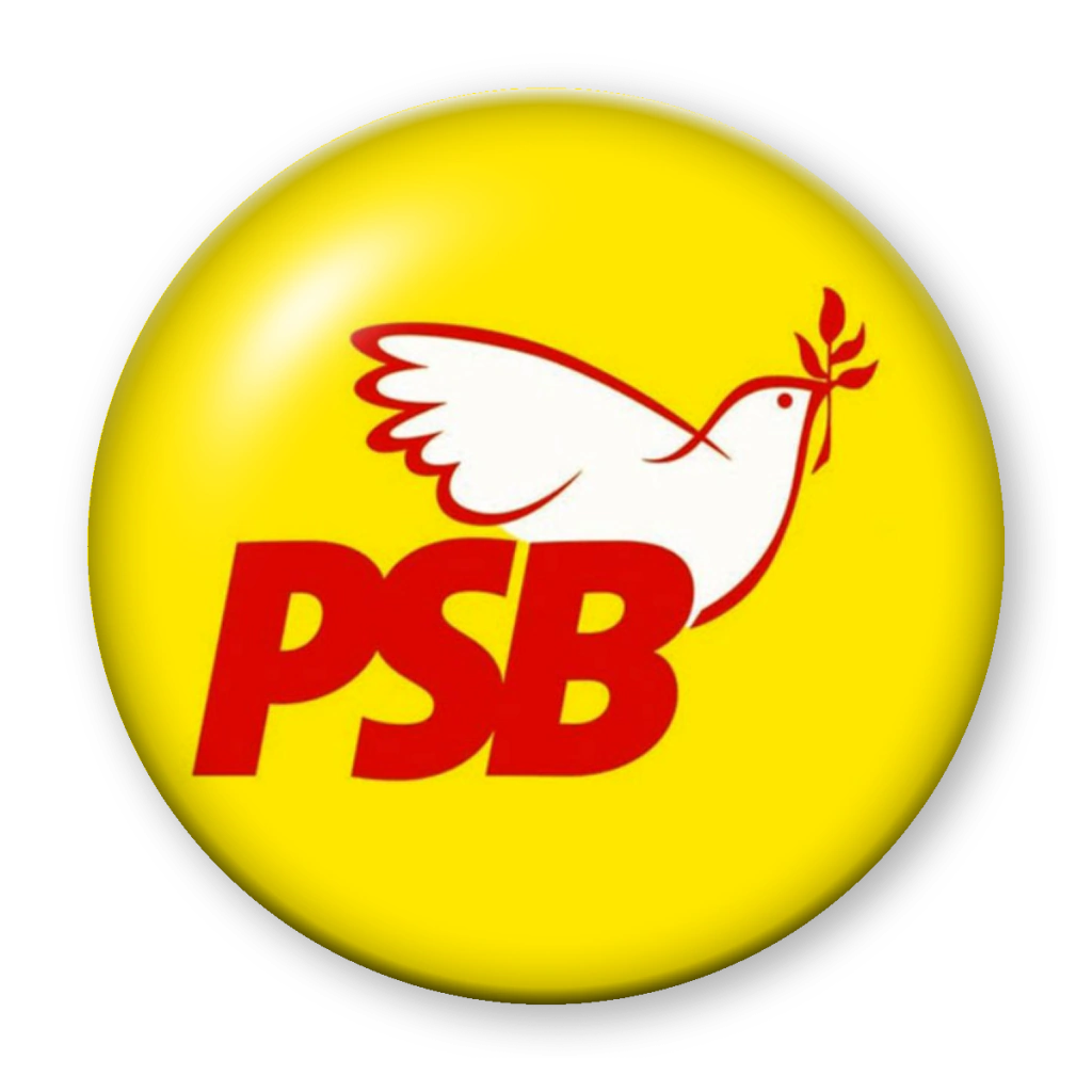 Broche PSB